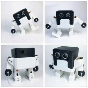 Humanoid Otto Bot Robot