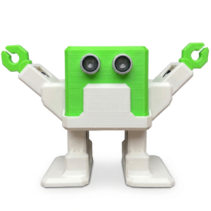 DIY Robot Kits